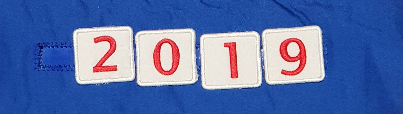 Highlights of 2018. Goals for 2019